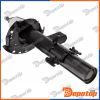 Amortisseur de suspension droite arrière pour RANGE ROVER | A-LR-040, LR024445